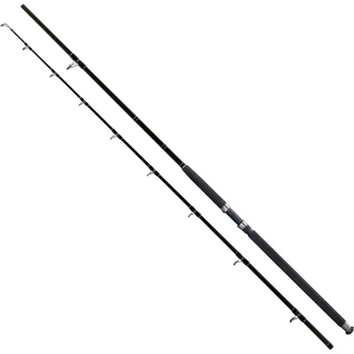 Giants fishing Deluxe Catfish 240cm 500g 2 diely