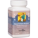TCM Herbs NÁPOJ ČÍNSKÝCH MUDRCŮ 200 g