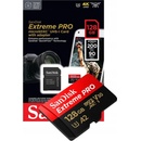SanDisk microSDXC 128GB UHS-I U3 SDSQXCD-128G-GN6MA