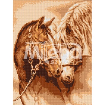 Image 1 of Milena Style Привързаност - Печатана Aida 14 ct с конци Ariadna