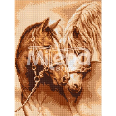 Milena Style Привързаност - Печатана Aida 14 ct с конци Ariadna