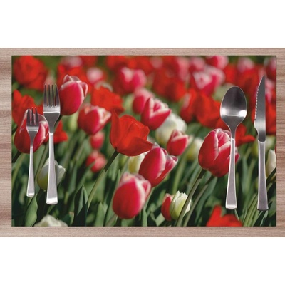 Impar prostírání Tulipány 42x28cm