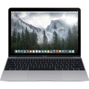 Apple MacBook MJY32SL/A