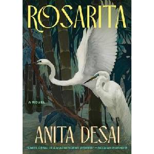 Rosarita | Desai, Anita (ISBN: 9781668082430)
