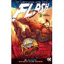 The Flash Vol. 5 Rebirth