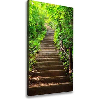 Vertikálny foto obraz na plátne Schody do lesa 50x100 cm
