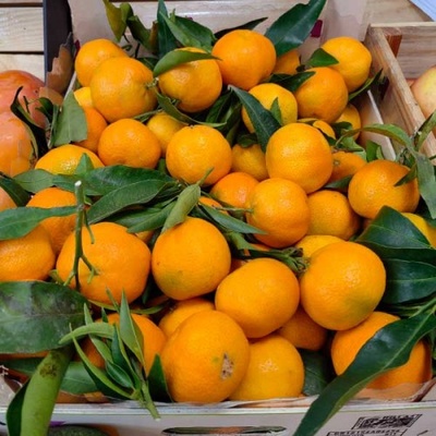 Мандарини произход Гърция