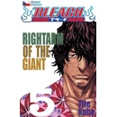 Knihy Bleach 5 - Tite Kubo