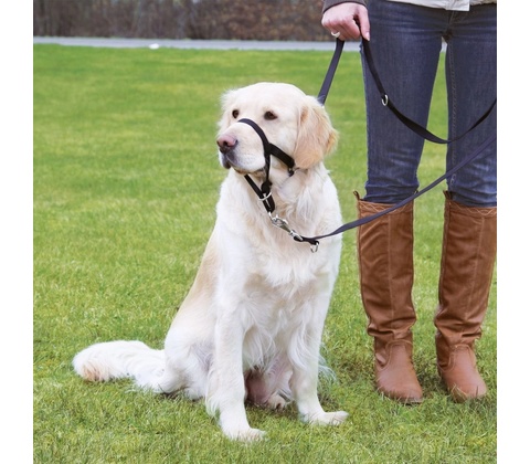 TRIXIE Postroj treningovy Top Trainer