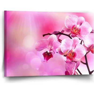 Sablio Obraz Kvety orchidey - 90x60 cm