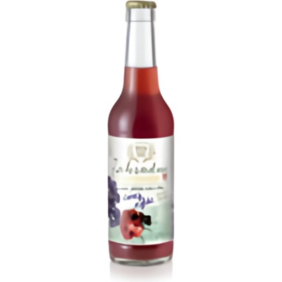 Tátův sad Černý rybíz 330 ml