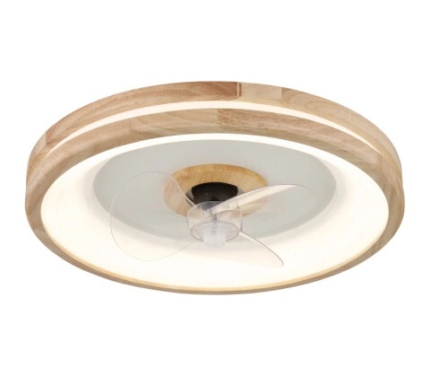 Globo 03650
