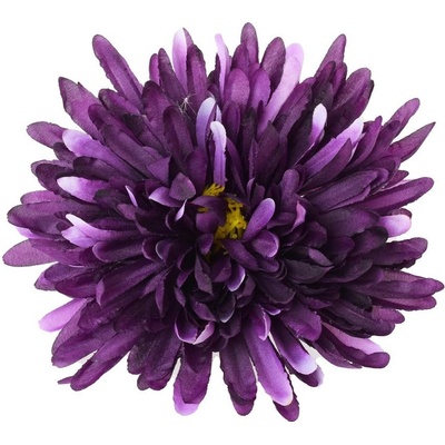 HLAVA CHRYZANTÉMA FIALOVÁ D:16CM BAl:12KS
