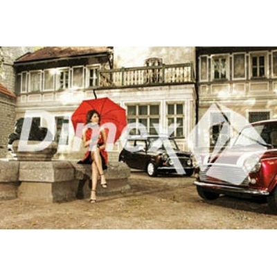 DIMEX | Obraz na skle | Retro GL-45-014 | 45 x 30 cm