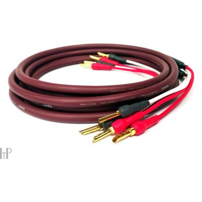 Saec SPC850B-B - Референтен комплект високоговорители с размер 2x2m - Made in Japan (068918)