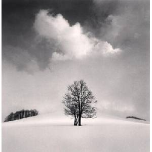 Constellations. Michael Kenna | Rivallin (ISBN: 9782370742841)