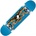 Antihero Classic Eagle