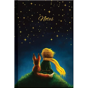 Notes LITTLE PRINCE