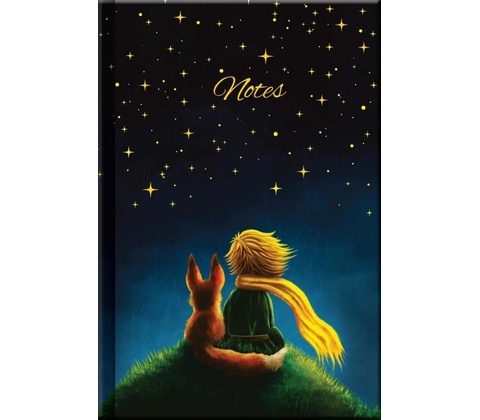 Notes LITTLE PRINCE
