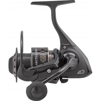 RYOBI Arctica 3000