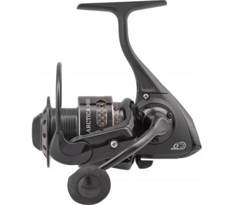 RYOBI Arctica 3000