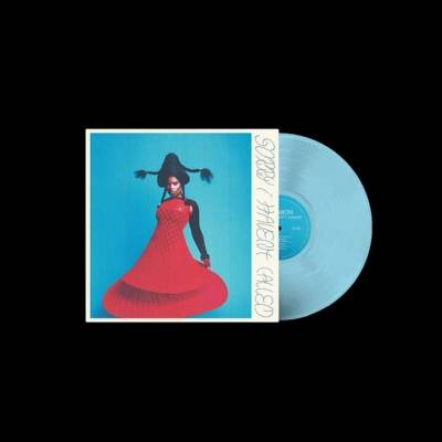 VAGABON - SORRY I HAVEN'T CALLED LP