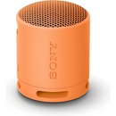 Sony SRS-XB100D