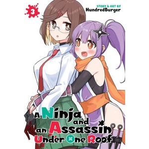 A Ninja and an Assassin Under One Roof Vol. 3 (ISBN: 9798895619391)