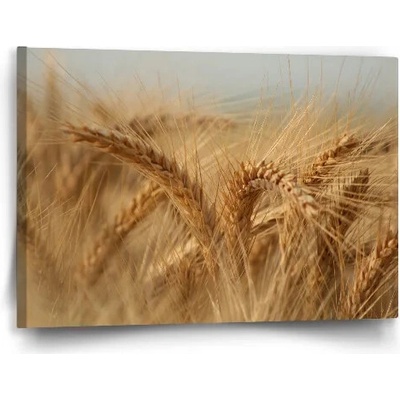 Sablio Obraz Klasy 2 - 60x40 cm
