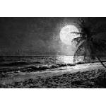  Фототапет Beach At Night 2