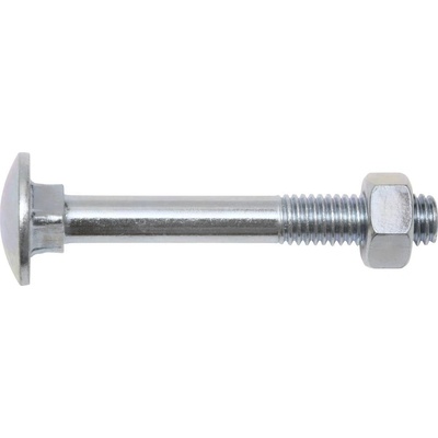 SWG 22385019 Skrutka bránová 50 mm štvorhran ocel 100 ks