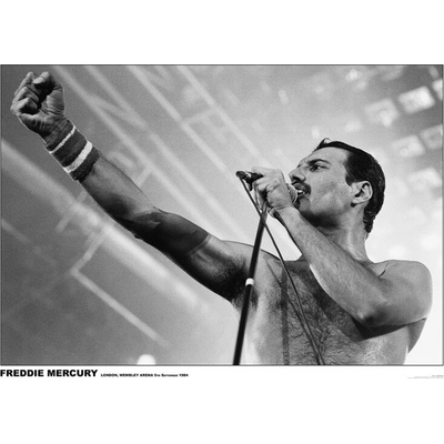 Plagát, Obraz - Freddie Mercury - Wembley 1984, 84.1 × 59.4 cm