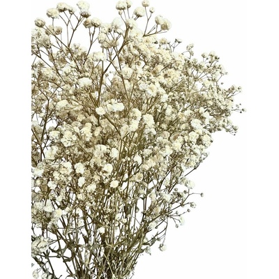 Nevěstin závoj/stabilizovaná Gypsophila svazek/kytice přírodní bílá/krémová 45g