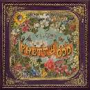 Panic At The Disco - Pretty.Odd CD
