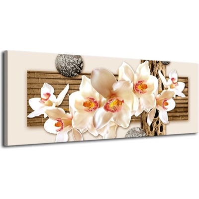 Obraz bílá orchidej plátno 1 100x40