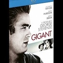 Gigant BD