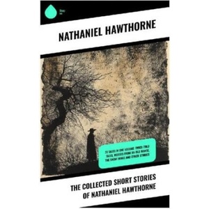 The Collected Short Stories of Nathaniel Hawthorne | Nathaniel Hawthorne (2024)