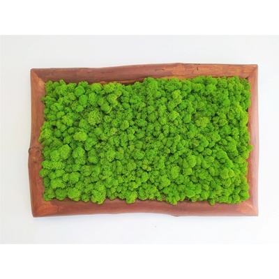 Machový obraz s masívnym dreveným rámom 50cm x 75cm