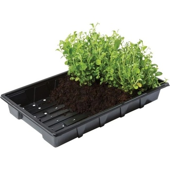 Garland Professional Seed tray - тава за покълване на семена и разсад, 37 x 23.5 х 6 см (с дупки) (61120201)