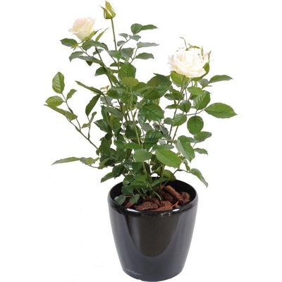 Luxusní umělá květina Keř růží růžový-krémový, 60cm