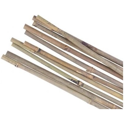 STREND PRO Tyč oporná bambusová 14-16 / 1800 mm