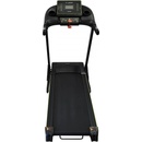 Lifefit TM3301