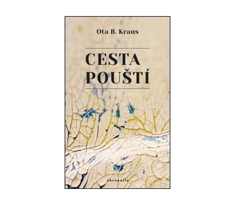 Cesta pouští