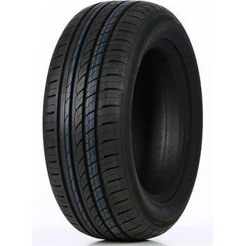 DOUBLE COIN DC99 205/55 R16 91V