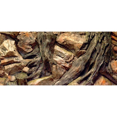 ATG pozadie Kořeny 100 x 40 cm