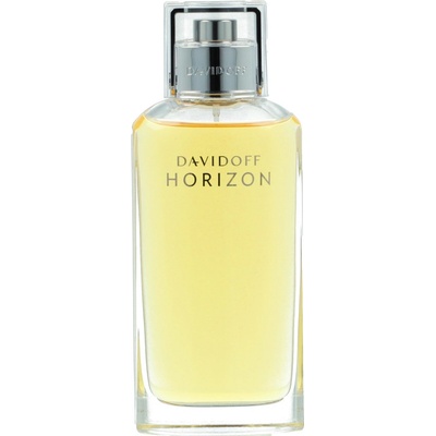 Davidoff Horizon toaletná voda pánska 125 ml