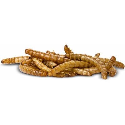 JK ANIMALS Dried Mealworms 450 g – Zboží Dáma