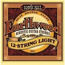 Ernie Ball 2010
