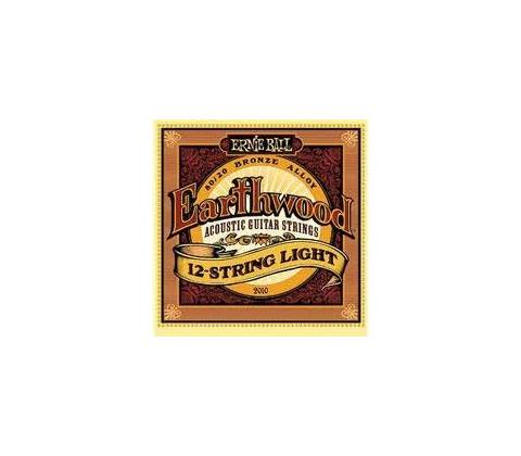 Ernie Ball 2010