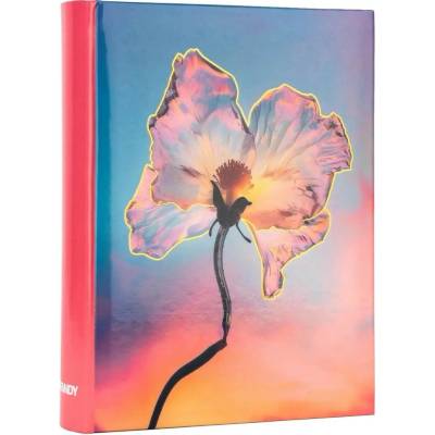 Fandy Fotoalbum 10x15/200foto B-46200S Silky 1
